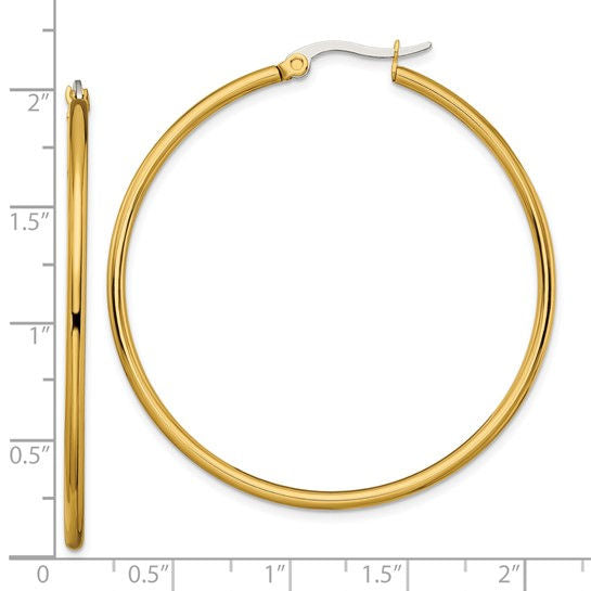 Stainless Steel Gold Tone Hoop Earrings