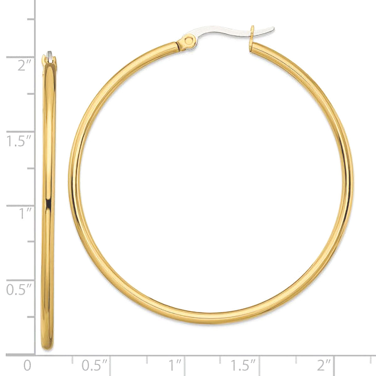 Stainless Steel Gold Tone Hoop Earrings